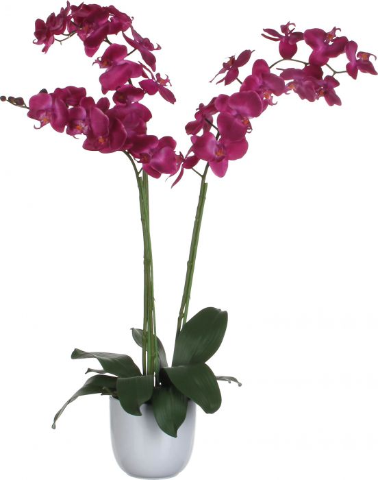 Kunstlill orhidee potis 100 cm