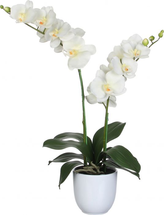 Kunstlill orhidee potis valge 66 cm