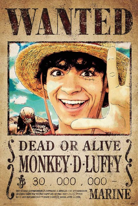 Poster ReindersOne Piece - wanted monkey d. Luffy  082