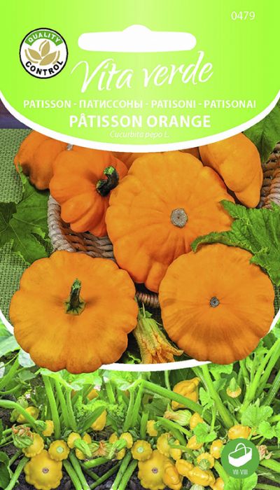 Patisson Patisson Orange