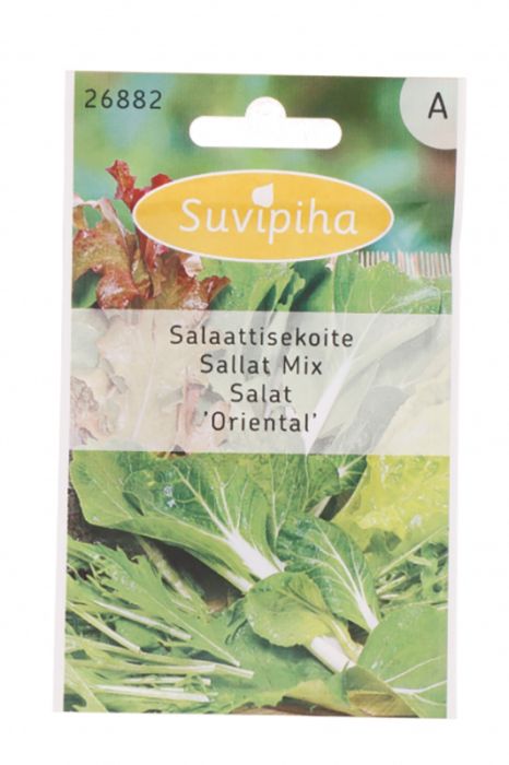 Salat Baby Leaf Suvipiha
