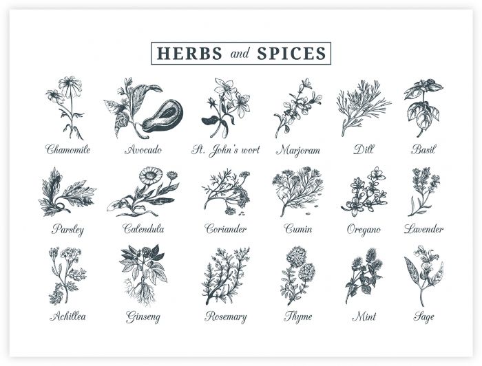 Sisustuspilt Herbs Spices