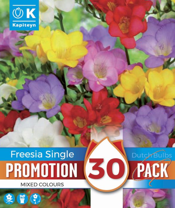 Freesiate Promotion Mix 30 tk