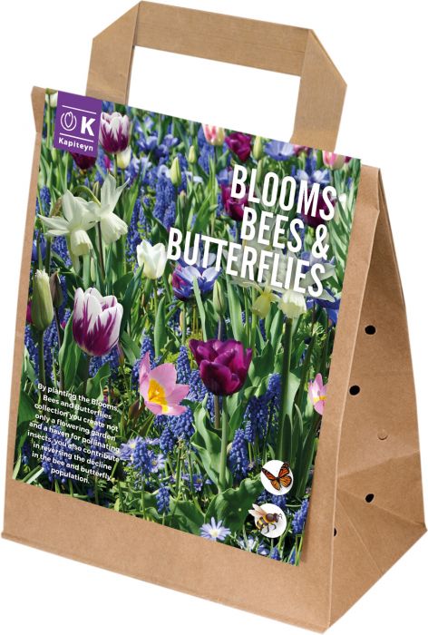 Sibullilled 25 tk Blooms, Bees & Butterflies sinine
