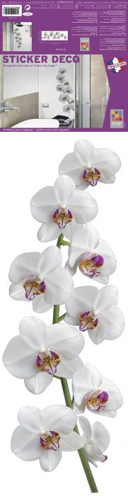 Posterkleebis Plage Orhide 24 x 68 cm