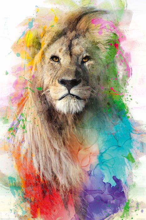 Sisustuspilt Reinders Multicolour Lion 60 x 90 cm