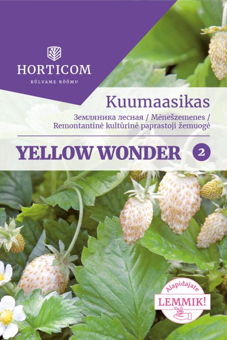 Kuumaasikas Yellow Wonder Horticom 50 seemet