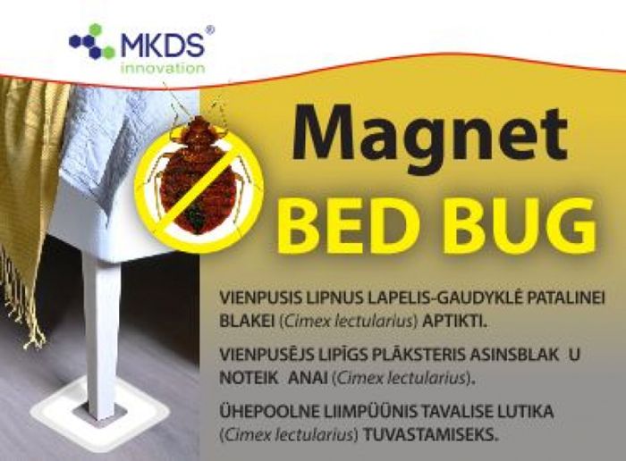 Lutikate liimpüünis Holding Invest Magnet Bed Bug 4 tk