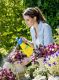 Surveprits Hobby 100, 1 l