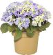 Lillepott GB Cilkinder Ø 45 cm