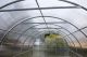 Kaarkasvuhoone AB Polar Easy-Up 3 x 6 m