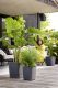 Altkastmispott Elho Greensense Aqua Care 38 x 38 cm, tumehall