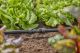 Ühendusliitmik Gardena Micro-Drip 13 mm