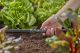 Ühendusliitmik Gardena Micro-Drip 13 mm