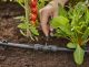T-ühendusliikmik Gardena Micro-Drip 1/2” – 3/16