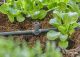 T-liitmik Gardena vihmutite / otsatilgutite jaoks Micro-Drip 4,6 mm