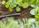 Otsakork Gardena Micro-Drip 4,6 mm