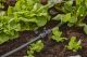 Pihustiotsik Gardena Micro-Drip 360°