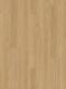 Näidis vinüülparketile Parador Basic 5.3 tamm Oxford Natural