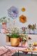 Ümbrispott Soendgen Bari Blossom kollane, erinevad suurused 16 cm