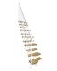 Trepp Atrium Mini Vertical pöök 60 cm Valge
