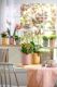 Orhideepott Soendgen Bari Blossom 15 cm, kollane
