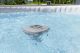 Kloori dosaator Bestway Lazy-Spa
