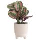 Ümbrispott 4 Living Aria Jumper Ø 18 cm, liivakarva