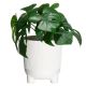 Ümbrispott 4 Living Aria Jumper Ø 14 cm, valge