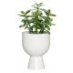 Ümbrispott 4Living Nala Ø 16 cm, mattvalge