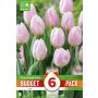 Tulp Kapiteyn Single Early Pink 6 tk