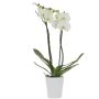 Orhideepott MerinaPretty White Ø 14 cm
