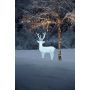 LED- jõuludekoratsioon Konstsmide Põhjapõder 130 cm