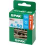 Peitpeakruvi Spax A2 4,5 x 50 mm
