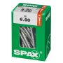Peitpeakruvi Spax 6 x 80 mm
