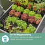 Micro-Drip  Gardena stardikomplekt peenardele