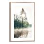 Sisustuspilt Reinders Sunny Tree 20 x 30 cm