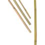 Tugikepp bambus 1 m