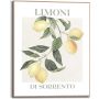Sisustuspilt Reinders Limoni 40 x 50 cm
