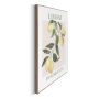 Sisustuspilt Reinders Limoni 40 x 50 cm