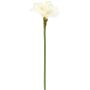 Kunstlill Amaryllis 66 cm, valge