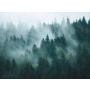 Fliistapeet A.S. Creation Digiprint Misty Forest 39898-1