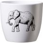 Miniümbrispott Safari Elevant Ø 10 cm