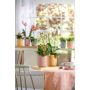 Orhideepott Soendgen Bari Blossom 15 cm, kollane