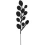 Aiakaunistus Eukalüpti oksa valik 50 cm, must