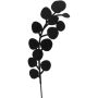 Aiakaunistus Eukalüpti oksa valik 50 cm, must