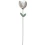 Küünlajalg Tulp 100 cm