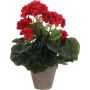 Kunstlill Pelargon Ø 11,5 cm, punane