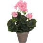 Kunstlill Pelargon Ø 11,5 cm, roosa
