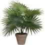 Kunstlill palm 40 cm